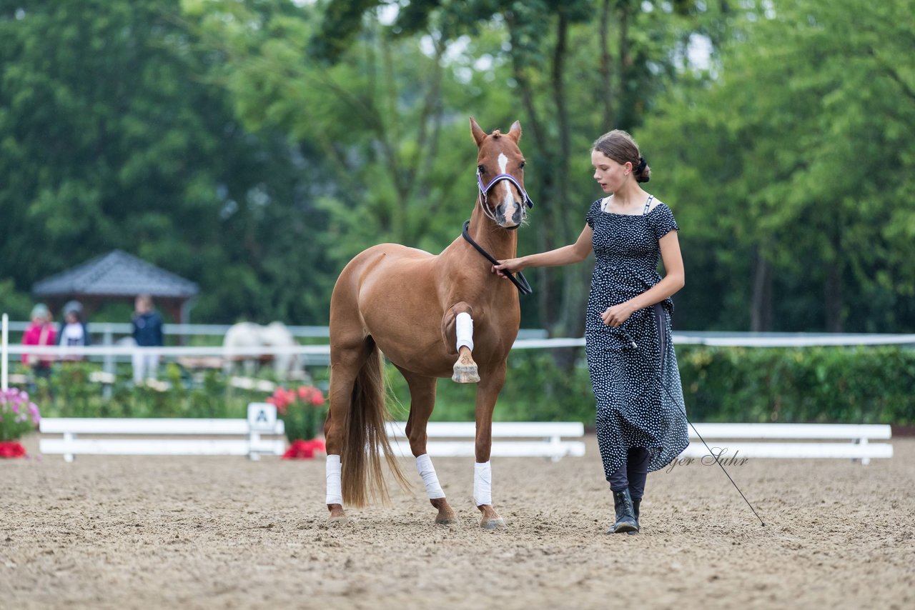 Bild 161 - Pony Akademie Turnier